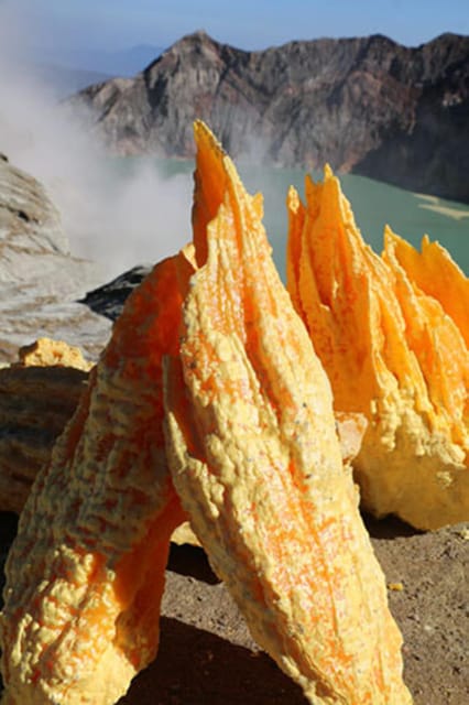 Banyuwangi : Mt Ijen With Tour Guide and Transfer Service - Contact Information