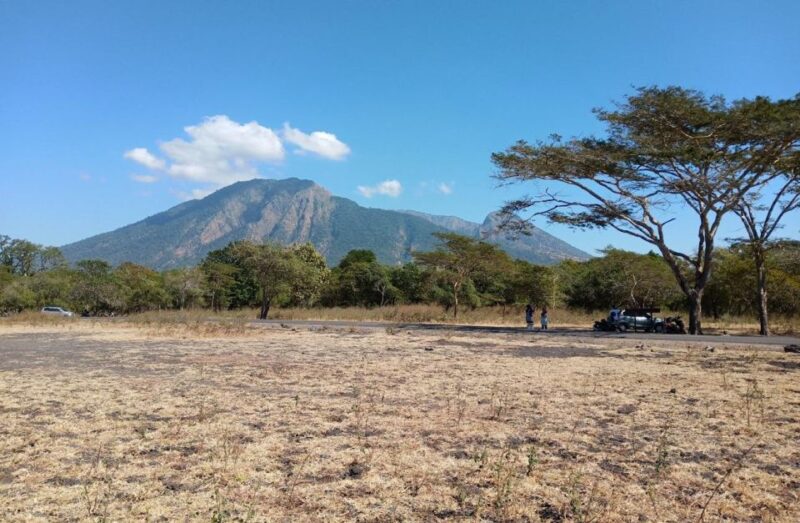 Banyuwangi: Private Car Charter With Professional Driver - Customizable Itinerary Options