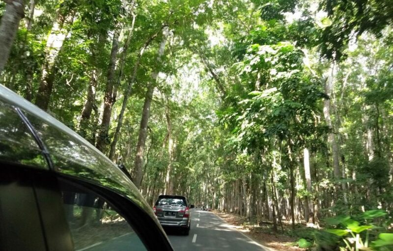 Banyuwangi: Private Car Charter With Professional Driver - Pickup and Drop-off Included