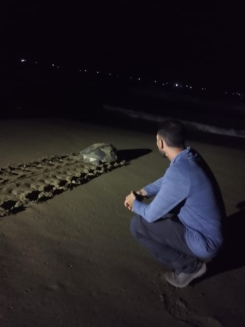 Banyuwangi: Sukamade Beach Turtle Conservation 2-Day Tour - Key Points