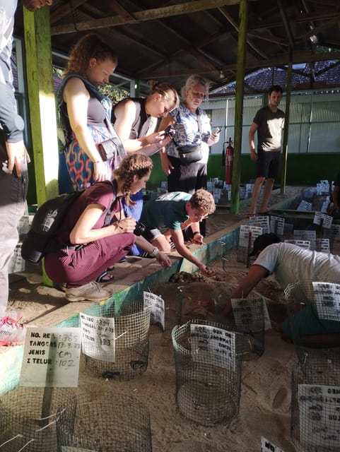 Banyuwangi: Sukamade Beach Turtle Conservation 2-Day Tour - Itinerary and Activities