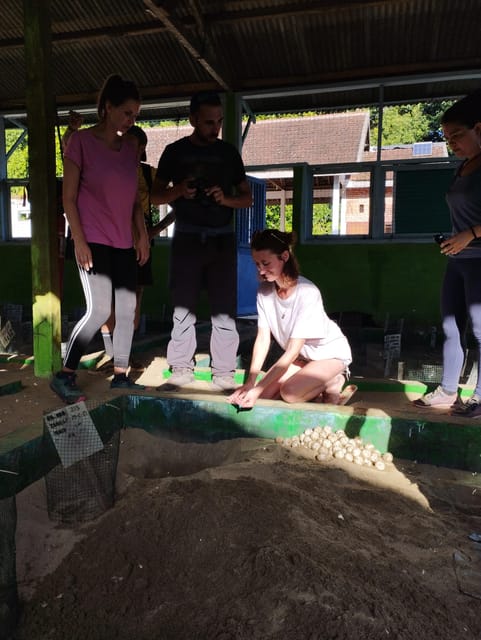 Banyuwangi: Sukamade Beach Turtle Conservation 2-Day Tour - Inclusions and Exclusions
