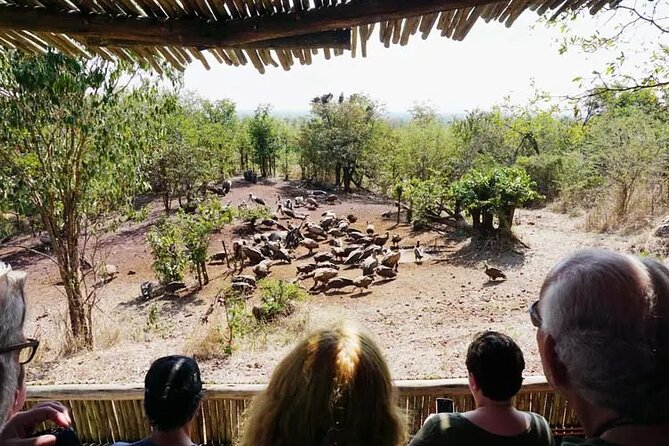 Baobab-Sunrise-Sunset-Vulture-Moonlight Safaris, 4 Options - Pickup and Meeting Point