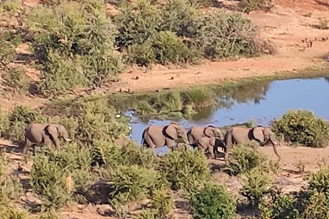 Baobab-Sunrise-Sunset-Vulture-Moonlight Safaris, 4 Options - Inclusions
