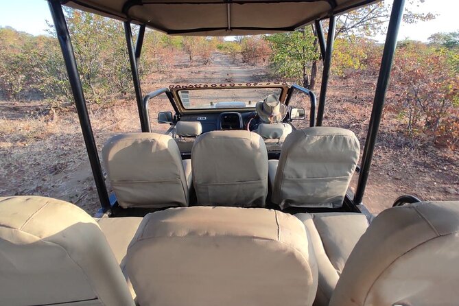 Baobab-Sunrise-Sunset-Vulture-Moonlight Safaris, 4 Options - Accessibility and Transportation