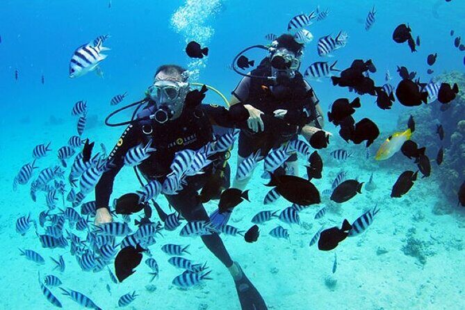 Baptism diving in the turquoise waters of Tahiti - Key Points