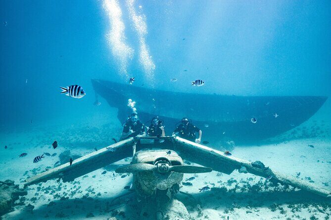 Baptism diving in the turquoise waters of Tahiti - Booking Details and Practicalities
