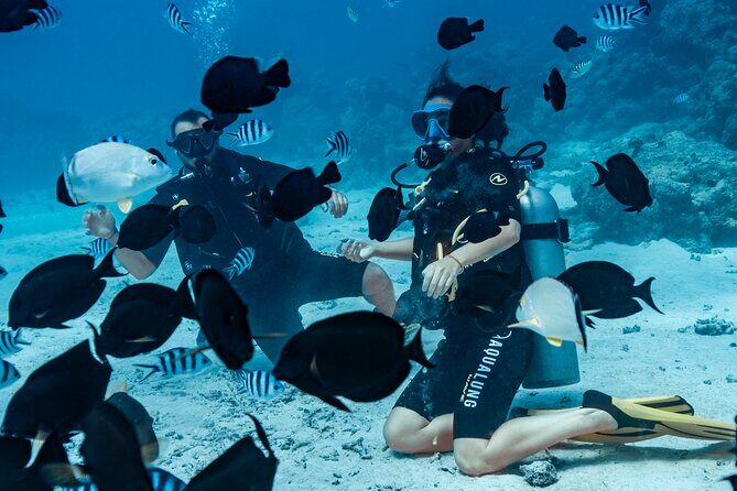 Baptism diving in the turquoise waters of Tahiti - Authenticity and Reviews