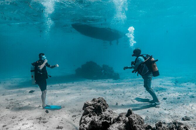Baptism diving in the turquoise waters of Tahiti - Comparing Value and Experience