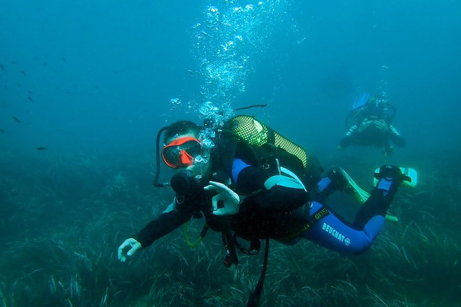 Baptism of Diving From Boat - About Your Stay