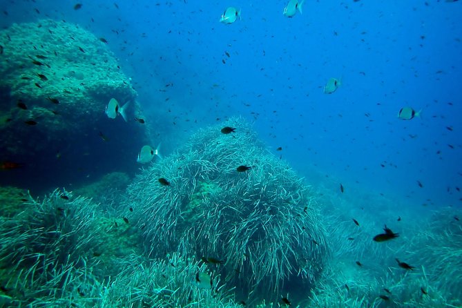 Baptism of Diving From Boat - Meeting Point and Transportation