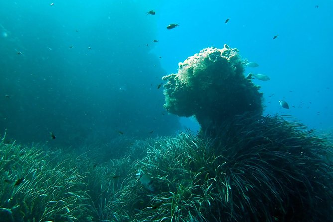Baptism of Diving From Boat - Scuba Equipment Included