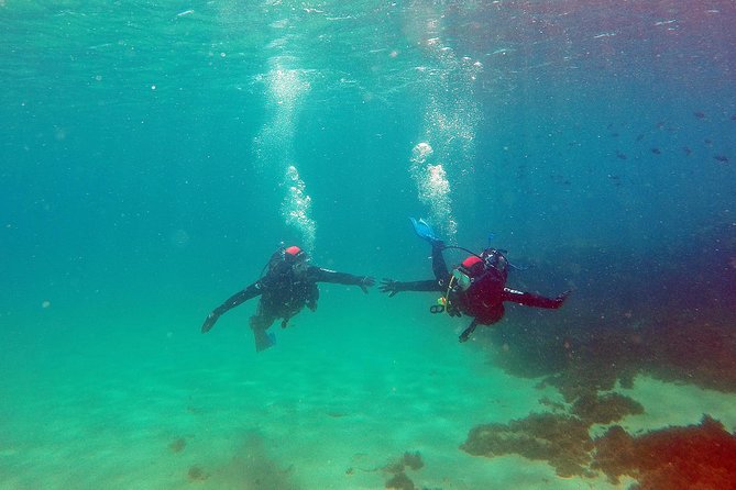 Baptism of Diving in the Natural Park of the Strait - Schedule and Timing