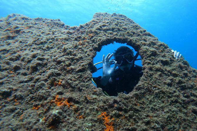 Baptism of Scuba Diving in a Shipwreck on Terceira Island - Experiencing the Lidador Shipwreck