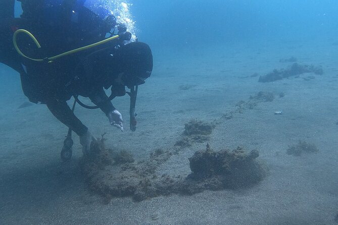 Baptism of Scuba Diving in a Shipwreck on Terceira Island - Accessibility and Recommendations