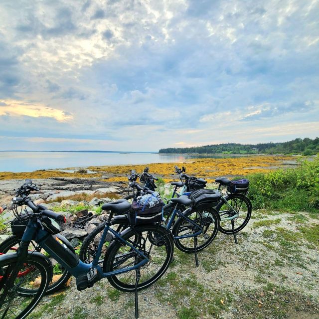 Bar Harbor: Acadia National Park Carriage Roads Ebike Tour - Equipment and Safety