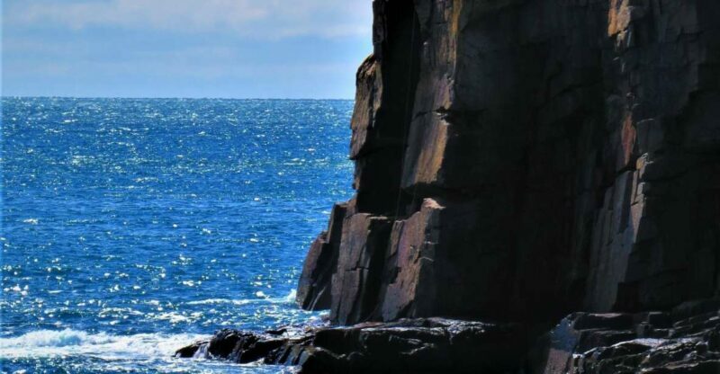 Bar Harbor: Acadia National Park Customizable Private Tour - What Makes This Tour Stand Out