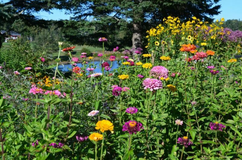 Bar Harbor: Acadia National Park Customizable Private Tour - What About Cost?