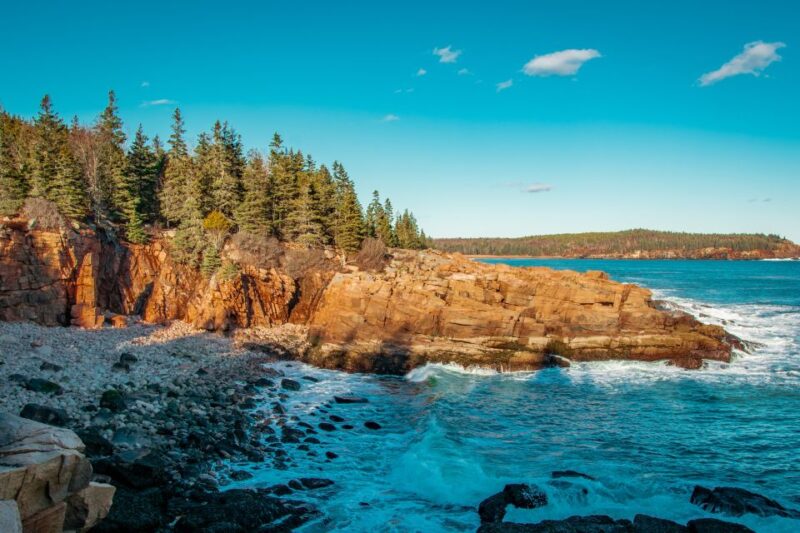 Bar Harbor: Acadia National Park Small-Group Guided Tour - Customer Reviews