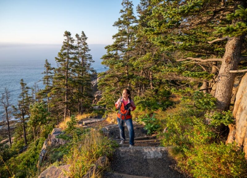 Bar Harbor: Acadia National Park Tour With Lobster Roll - Exploring Sieur De Monts Spring