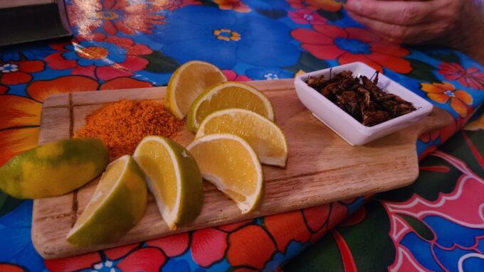 Bar Hopping Tour in Merida - Frequently Asked Questions