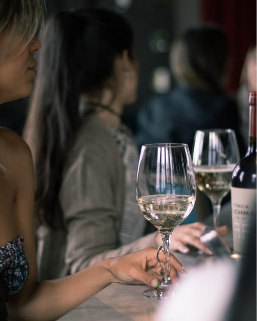 Bar Safari: 4 Best Mendoza'S Bars in 1 Night. + Full Dinner - Key Points