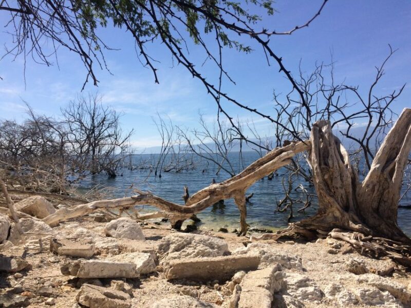 Barahona: Lake Enriquillo Discovery Tour - Preparation and Recommendations