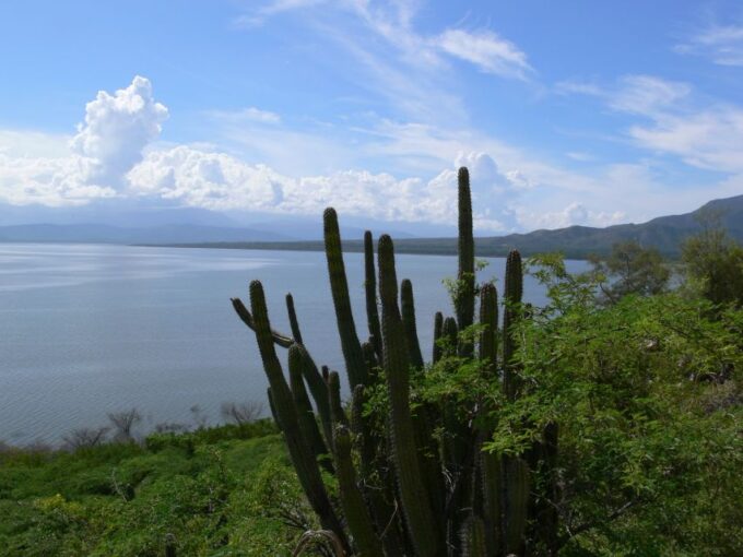Barahona: Lake Enriquillo Discovery Tour - Customer Feedback
