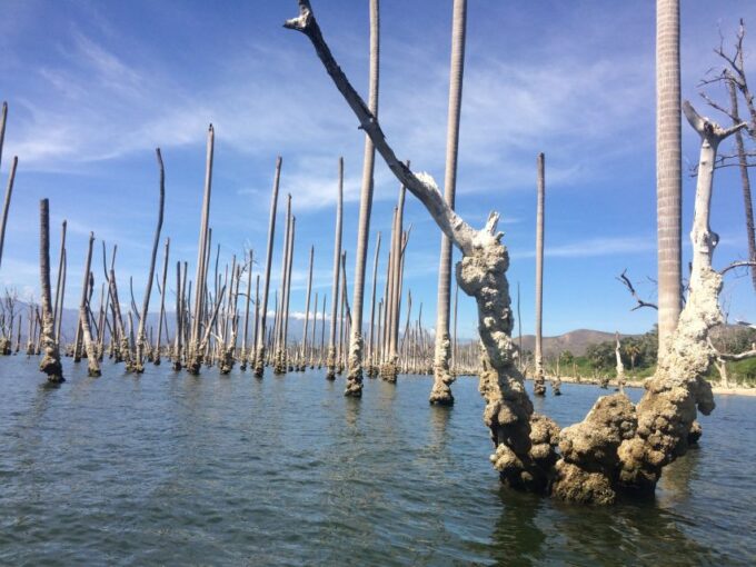 Barahona: Lake Enriquillo Discovery Tour - Explore Lake Enriquillo