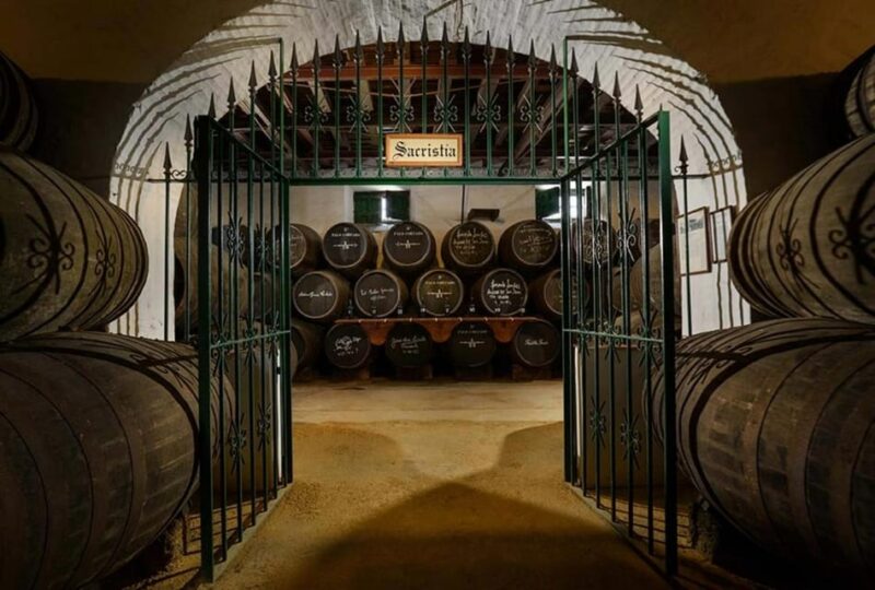 Barbadillo Winery Guided Tour in Cadiz With Wine Tasting - Key Points