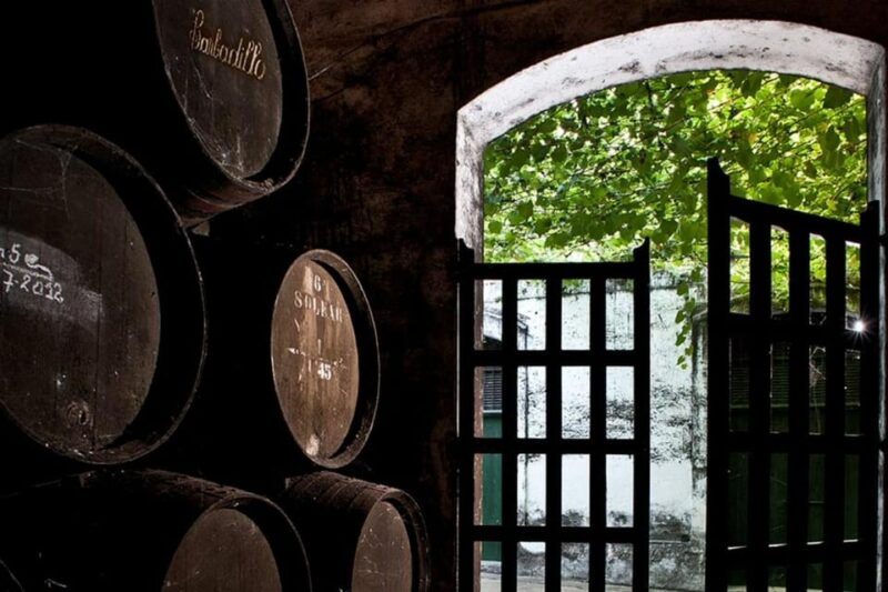 Barbadillo Winery Guided Tour in Cadiz With Wine Tasting - Accessibility and Cancellation Policy