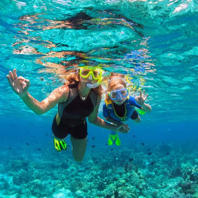 Barbados: 1-Hr Snorkeling Adventure with Supreme Watersports - Introduction: Why This Snorkeling Tour Deserves a Spot in Your Barbados Itinerary