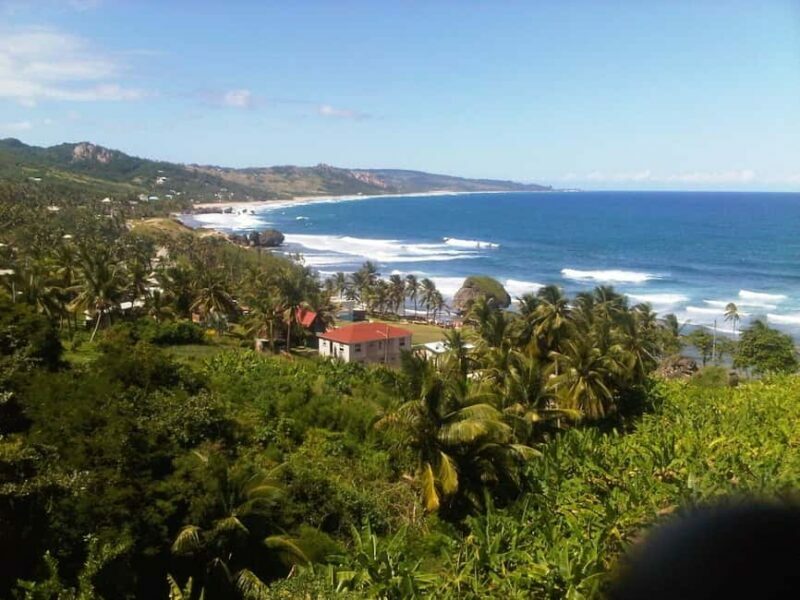 Barbados: 4 Hour Private Customized Island Tour - Exploring Barbados: A 4-Hour Private Customized Island Tour