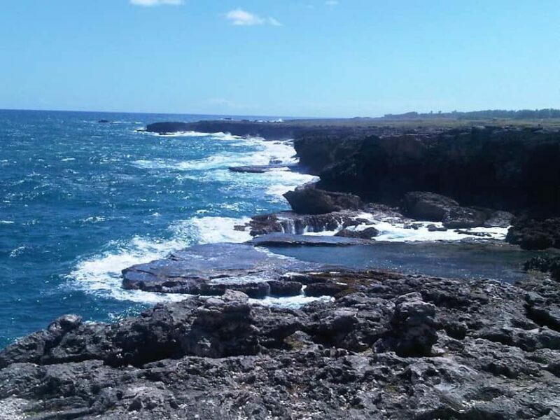 Barbados: 4 Hour Private Customized Island Tour - Who Will Enjoy This Tour Most?