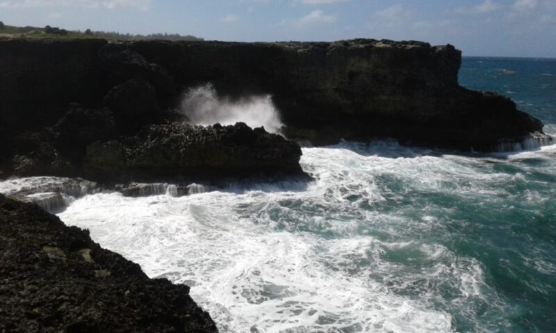 Barbados: 4-Hour Private Customized Island Tour - Tour Features