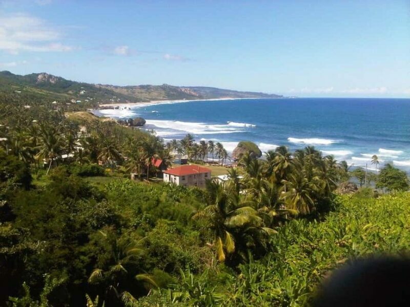 Barbados: 5.5-Hour Island Tour Plantation, Lunch and Drinks - Authentic Experiences and Reviews