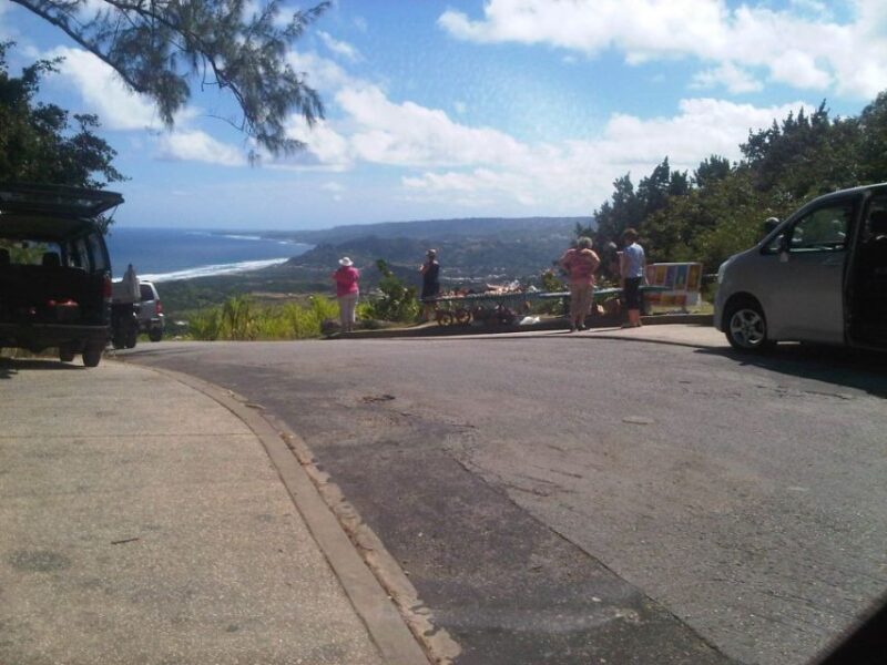 Barbados: 5-Hour Island Tour With Lunch and Drinks - Tour Experience and Highlights