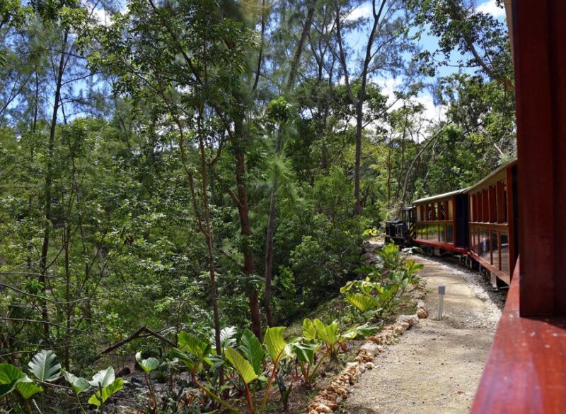 Barbados: 5-Hour Island Tour With Lunch and Drinks - Customer Reviews and Ratings
