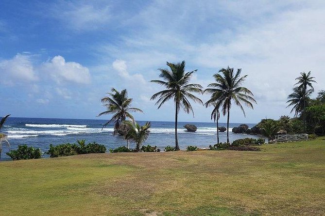 Barbados Amazing Full Day Private Rural Excursion - Admiring Animal Flower Caves Magnificent Views