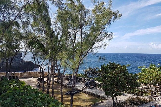 Barbados Amazing Full Day Private Rural Excursion - Savoring the Culinary Delights of Lunch