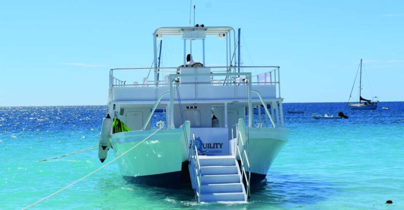 Barbados: Beach Day and Turtle Swim Experience - Key Points