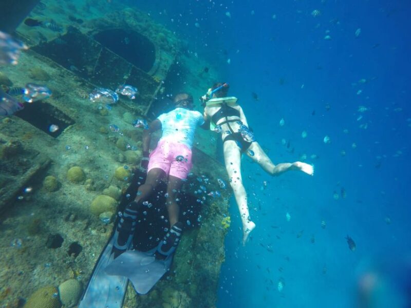 Barbados: Beach Day and Turtle Swim Experience - Duration and Price