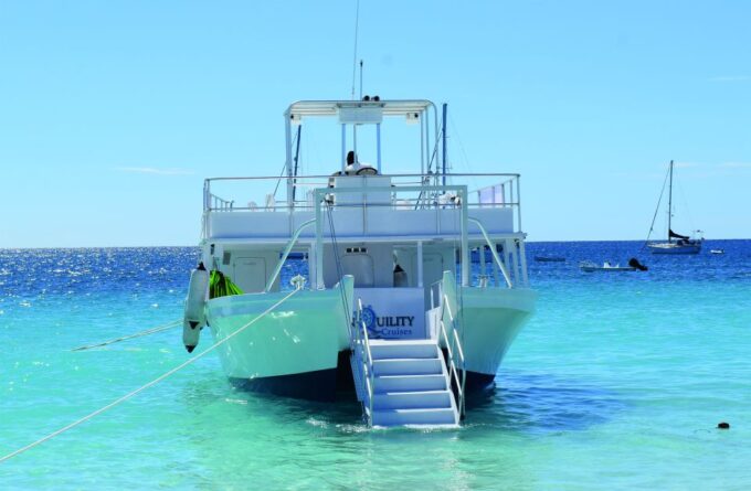 Barbados: Beach Day and Turtle Swim Experience - Customer Reviews and Ratings