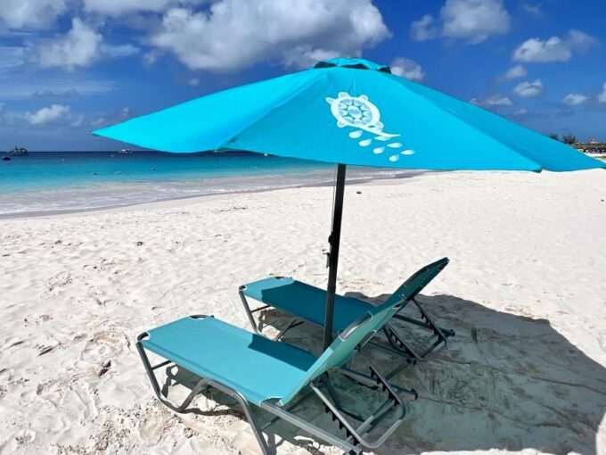 Barbados: Beach Day and Turtle Swim Experience - Frequently Asked Questions