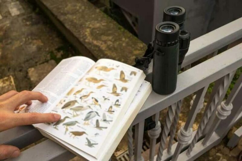 Barbados: Bird Watching Experience - FAQ