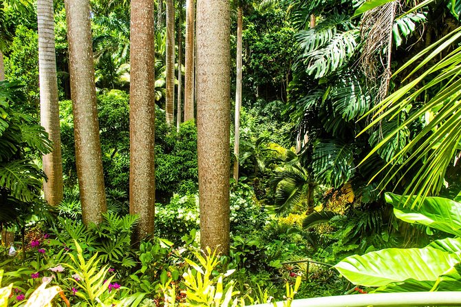Barbados Botanical Tour - Barbados Botanical Gardens