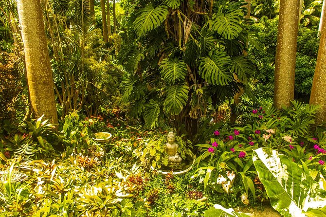 Barbados Botanical Tour - Guided Tour Highlights