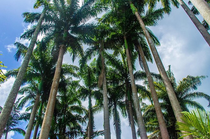 Barbados Botanical Tour - Booking Your Stay