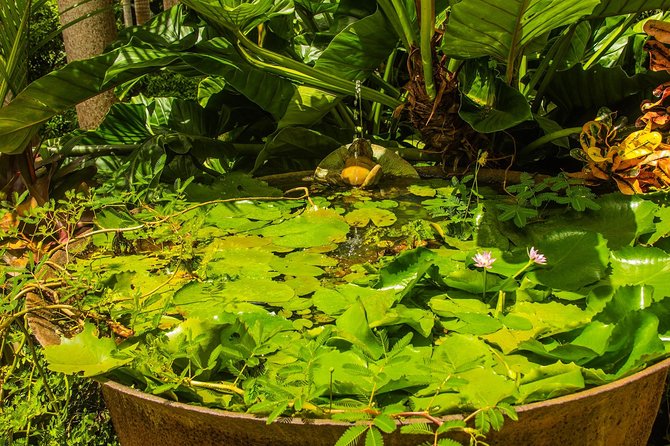 Barbados Botanical Tour - Booking Your Stay