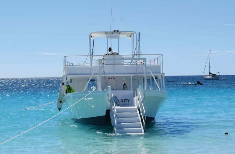 Barbados: Carlisle Bay Beach Day and Turtle Swim Experience - The Boat Trip: Marine Life and Shipwrecks